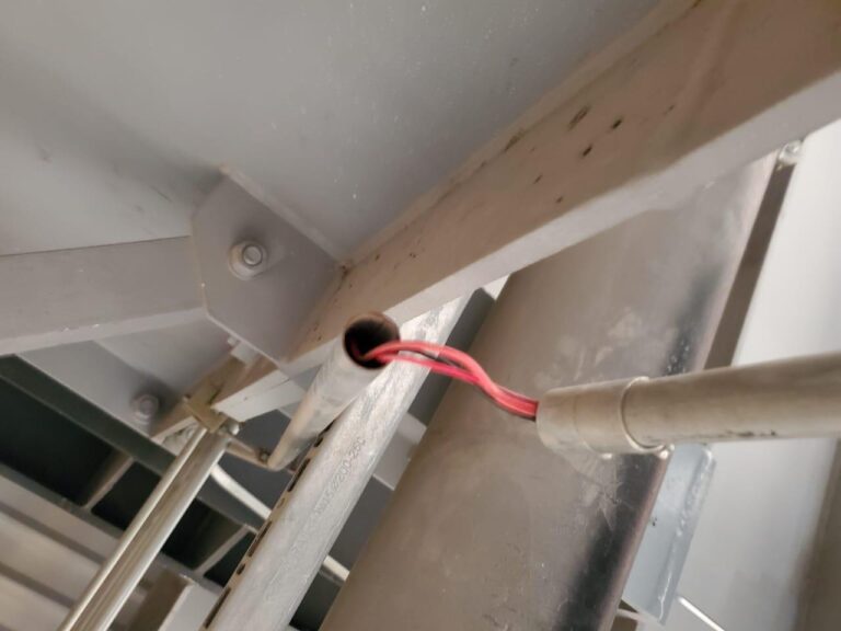 WhatsApp Image 2025-08-23 at 11.43